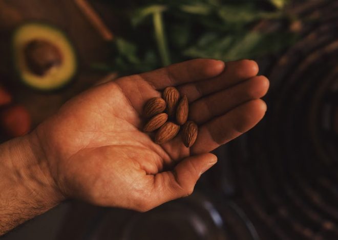 Alimentos Esenciales para una Nutrición Óptima